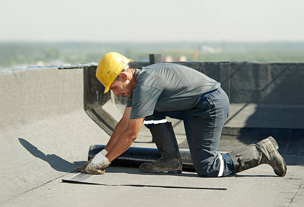 Best Wall Insulation Contractor  in Sparkill, NY